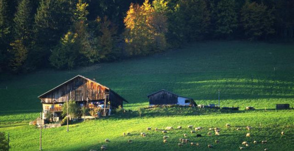 Hrvatska: Čovjek kupio cijelo svoje selo