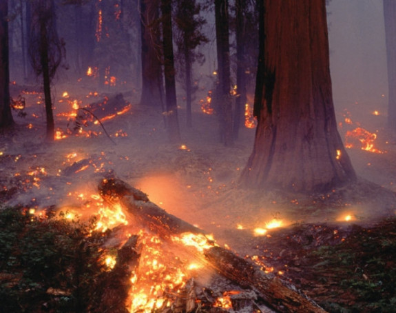 Raste broj požara u Srpskoj