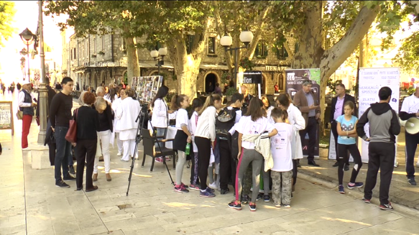 Trebinje: Kros protiv dijabetesa 