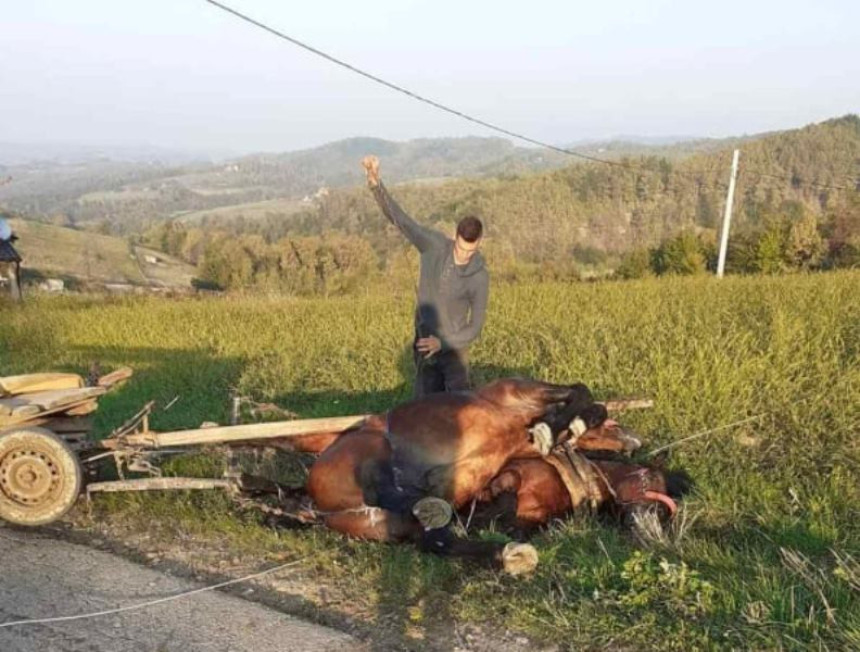 Povrijeđen vozač zaprege, stradao konj od udara