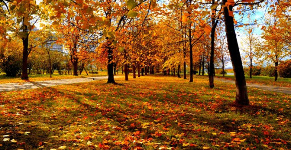 Sunčano vrijeme tokom dana u BiH