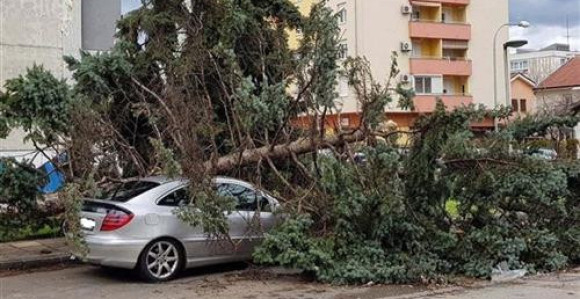 Olujni vjetar oborio stabla