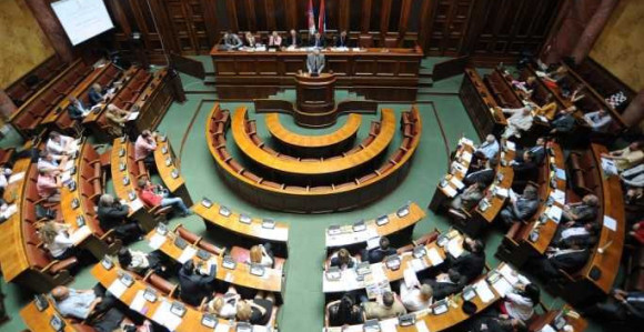 Srpska dijaspora dobija stranku?!