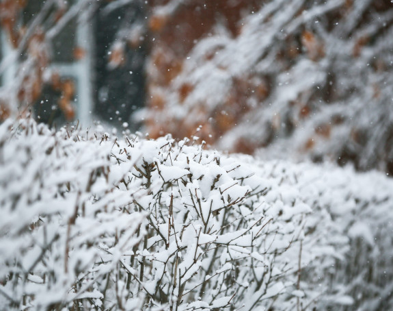 Naoblačenje sa kišom i snijegom