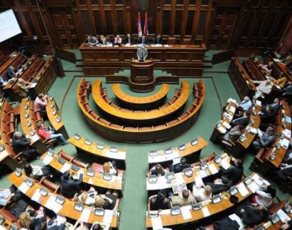 Srpska dijaspora dobija stranku?!