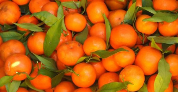 Pune pesticida: Zabranjen uvoz