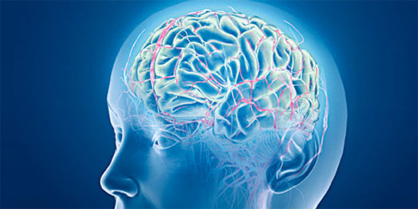 Naučnici locirali “centar za zlo” u mozgu