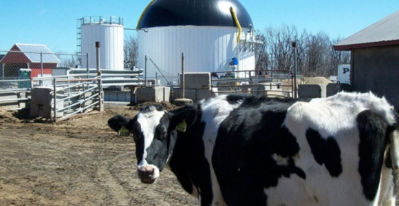 Neuređenost BiH tjera investitore