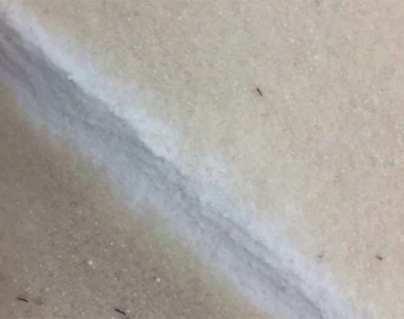 Oluja u SAD: Pada smeđi snijeg