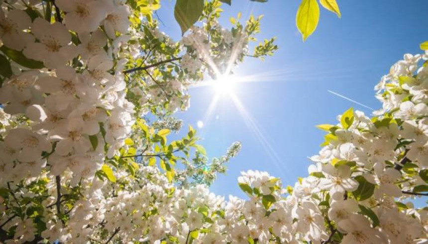 Tokom dana sunčano vrijeme