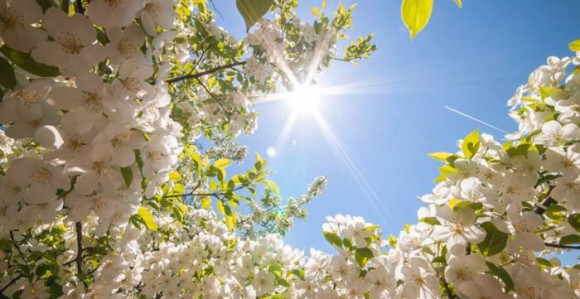 Tokom dana sunčano vrijeme