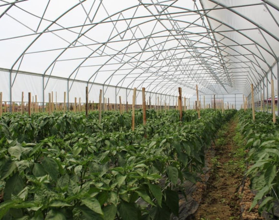 Romi u Bijeljini dobili plastenik 