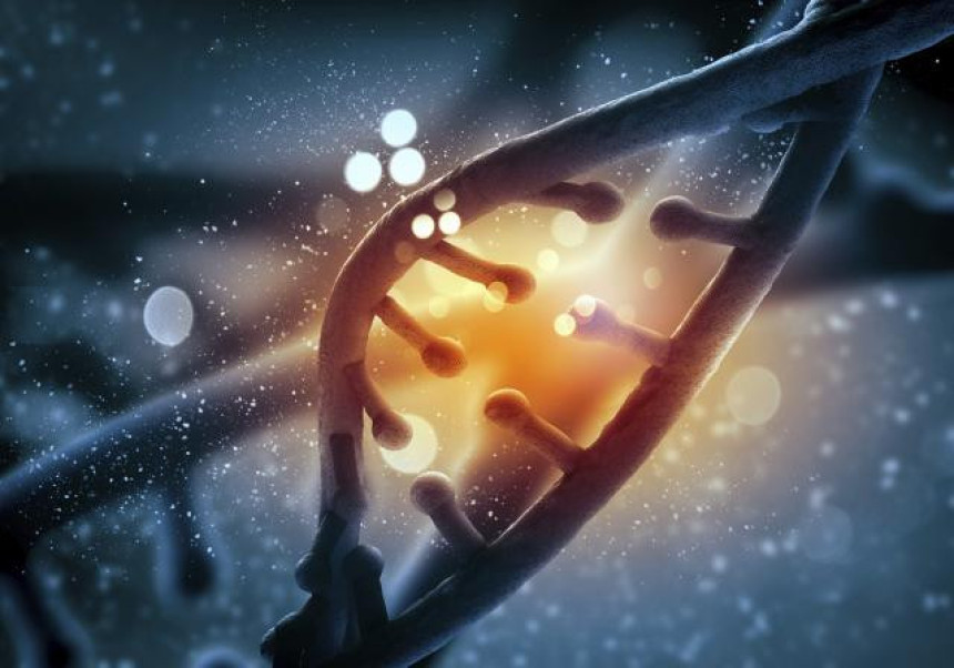 Научници нашли ген одговоран за Даунов синдром?