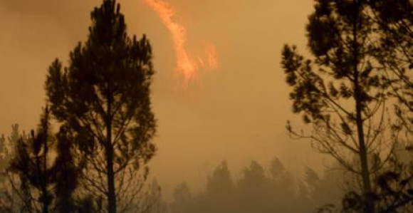 Bukti na Korzici, ugrožena naselja   