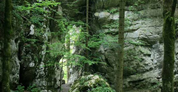 U šumi pronađeni mrtvi migranti