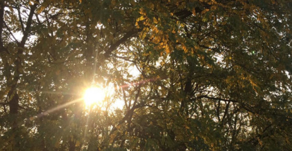 Ujutro maglovito, popodne sunčano