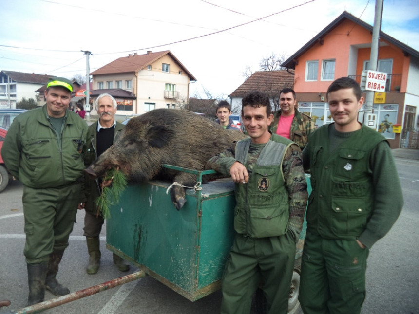 "Pao" vepar od 190 kg kod Srpca