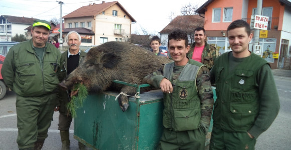 "Pao" vepar od 190 kg kod Srpca