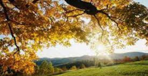 Топлије вријеме уз појаве сунца