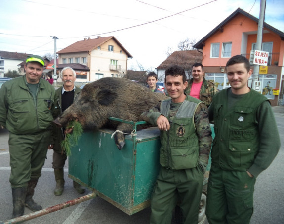 "Пао" вепар од 190 кг код Српца