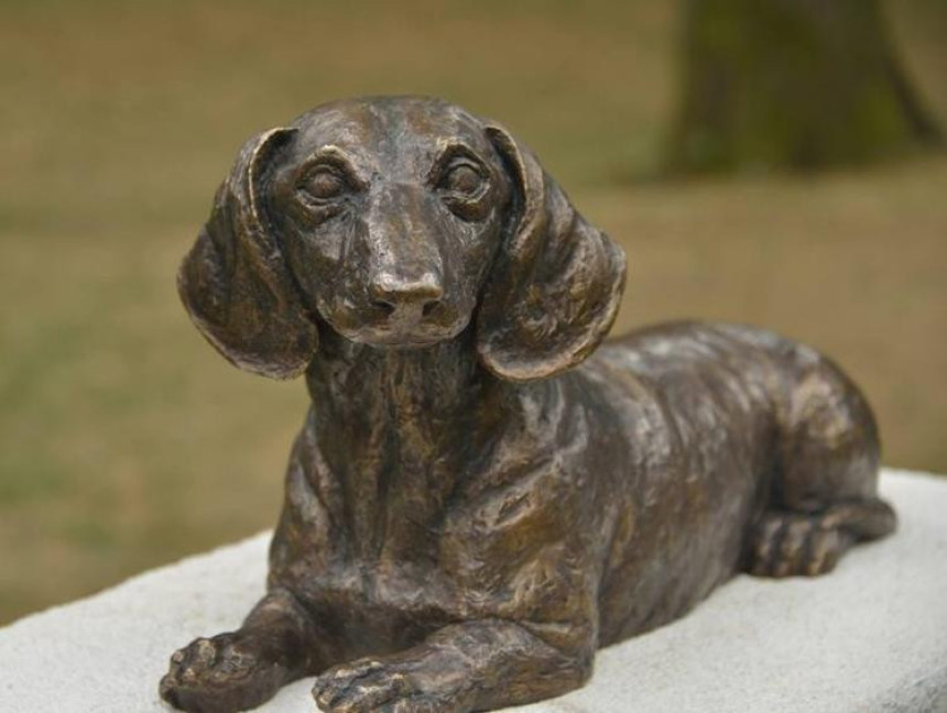 Priča o Leu, malom heroju velikog srca