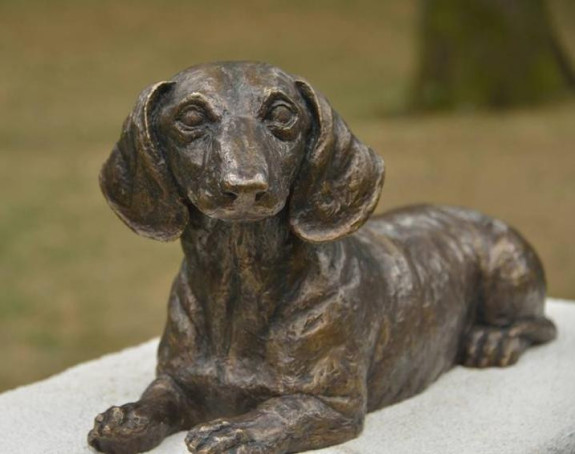 Priča o Leu, malom heroju velikog srca