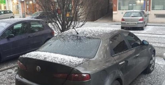 Neobična pojava u Novom Sadu