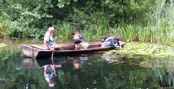 Velino selo i usidreni bjelosvjetski putnici