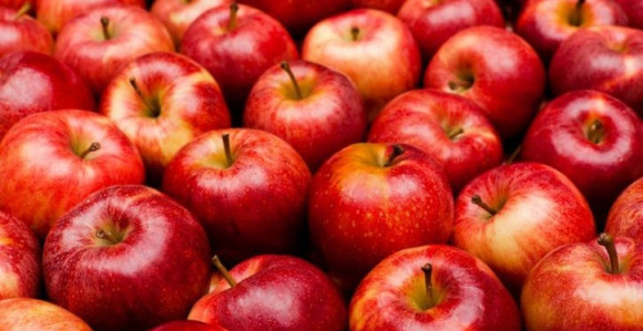Šarović uvodi red u izvoz u Rusiju