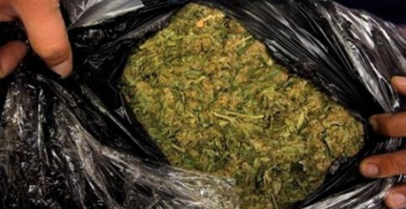 Zaplijenjeno 80 kilograma skanka