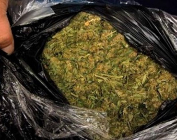 Zaplijenjeno 80 kilograma skanka