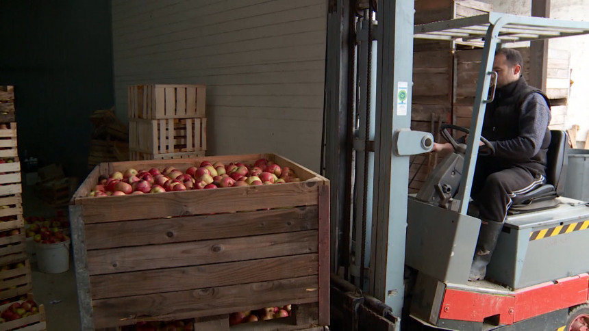 Наставак извоза јабука у Русију? 