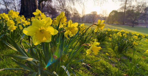 U BiH danas pretežno sunčano