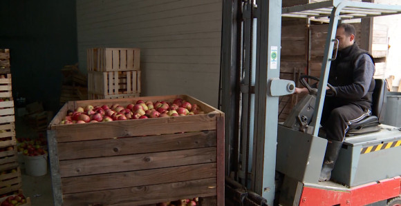 Nastavak izvoza jabuka u Rusiju? 