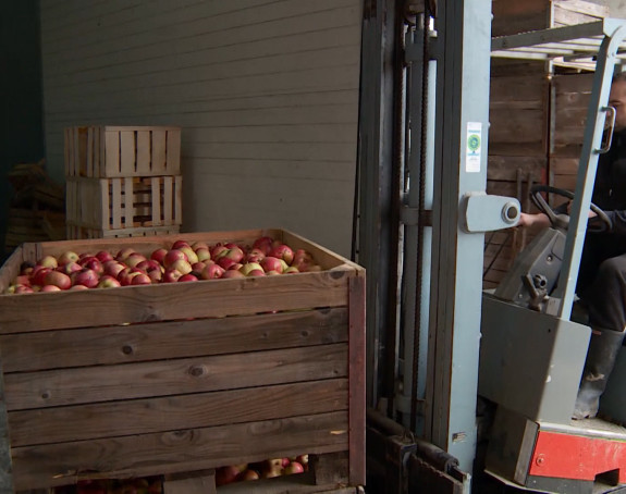 Nastavak izvoza jabuka u Rusiju? 