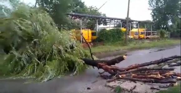 Stariji muškarac žrtva nevremena 