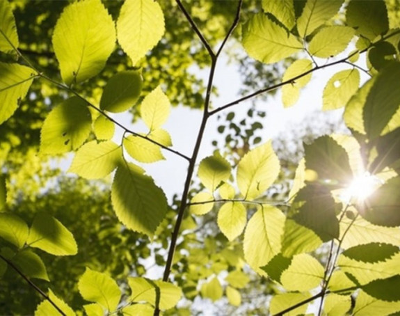 U BiH sunčano i toplo vrijeme  