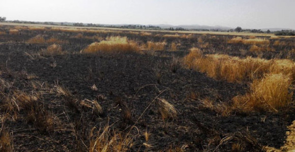 Na području Modriče u julu 18 požara