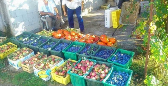 Руски инспектори ће обићи 14 објеката