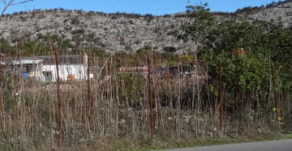 Bebu od 7 dana bacili u žbunje