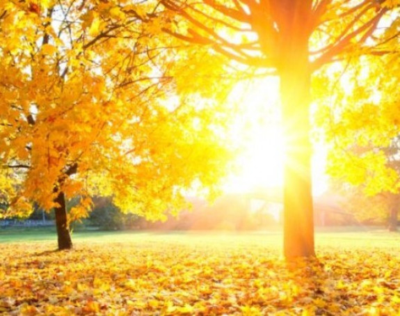 Danas sunčano i toplo, temperatura do 17°C