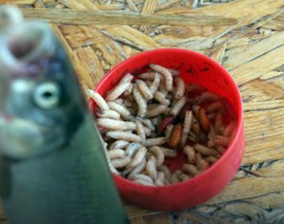 Mladiću riba uletjela u grlo