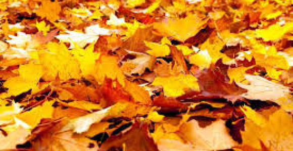 Sunčano vrijeme i danas u BiH