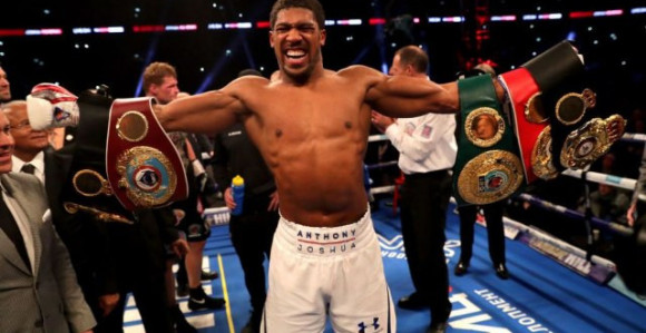 Vajlder: Džošua me preklinje da se borimo!