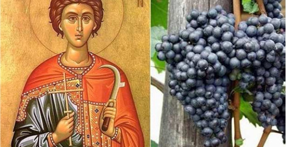 SPC proslavlja Svetog Trifuna