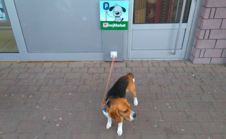 Бањалука добила први паркинг за псе
