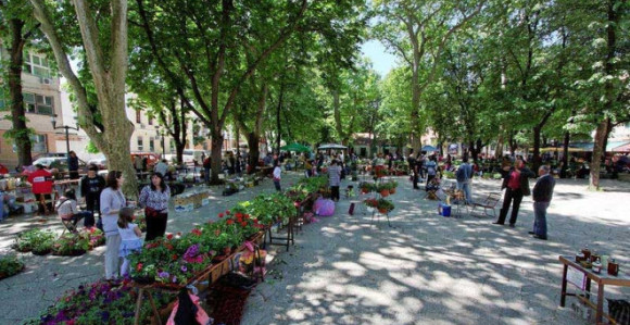 Херцеговци највиши на свијету?