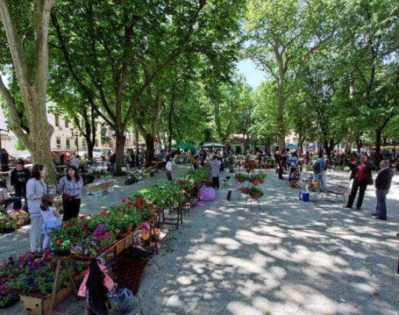 Hercegovci najviši na svijetu?