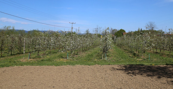 Nema radnika ni za 80 KM dnevno 