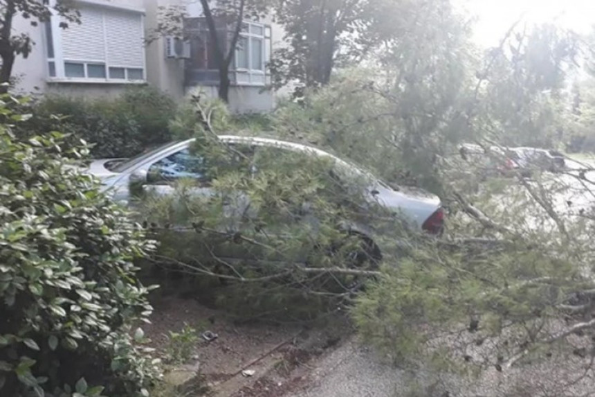 Mostar: Jak vjetar lomio stabla